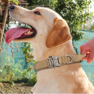 Pet Dog Collar Leash Set Nylon Material Durable Dog Collar Reflective Leash Pet Tactical Training Dog Collar Large Dog Leash Set 6