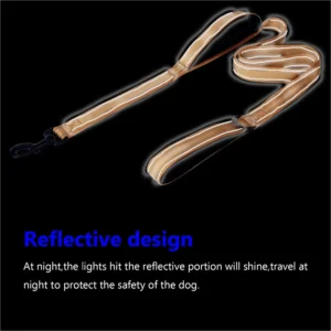 Dog Leashes Outdoor Travel Dog Training Chain Heavy Duty Double Handle Lead for Greater Control Safety Training Dual Handle 4