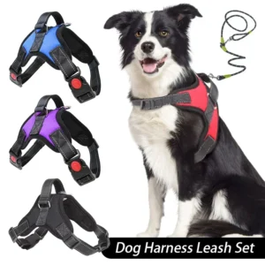 Dog Harness And Leash Set No Pull Adjustable Comfortable with Easy Control Handle Outdoor Running Walking Hand Free Lead Leash