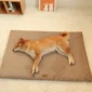 Memory Foam Pet Bed With Removable Washable Faux Fur Cover Orthopedic Waterproof Dog Bed For Crate Anti-Slip Bottom Dog Bed 2