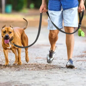 Cats Dogs Harness Collar Lead Strap Night Reflection Dog Pet Towing Rope 1.2/1.5/1.8m Guard Rope Pet Walking Training Leash 3