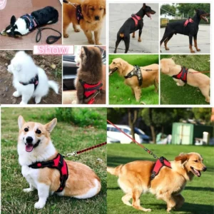 Small Medium Large Dog Harness Strong Harness Vest for Dogs Pet Shop Everything for Dogs Golden Retriever Chihuahua Accessories 2