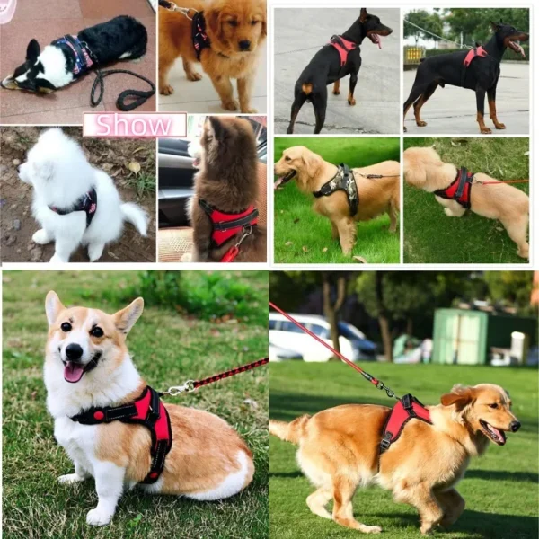 Small Medium Large Dog Harness Strong Harness Vest for Dogs Pet Shop Everything for Dogs Golden Retriever Chihuahua Accessories 2
