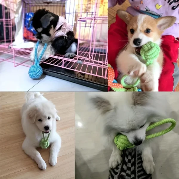 1pcs Random Color Interactive Cotton Rope Puppy Tug Toys Ball For Dogs Accessories Toothbrush Chew Durable Supply 6