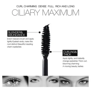 Black Curled Lashes Mascara Lengthens Eyelashes Extra Volume Long Lasting Waterproof Natural Quick Drying Lashes Female Makeup 2