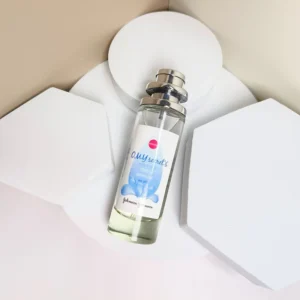 2025 New Perfume Lasting Fresh Light Fragrance Girl Oil Perfume Attracts The Opposite Sex Lasting Fragrance 4