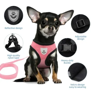 Cat Harness Vest Walking Lead Leash For Puppy Dogs Collar Polyester Adjustable Mesh Dog Harness For Small Medium Pet Accessories 3