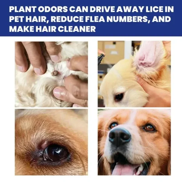 100ml Pet Dog Cat Anti Flea Drops Insectcide Flea Lice Insect Safe for Home and Cats Dogs Prevent Ticks 4