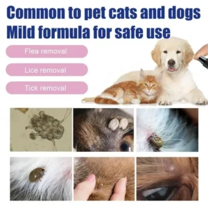 100ml Pet Dog Cat Anti Flea Drops Insectcide Flea Lice Insect Safe for Home and Cats Dogs Prevent Ticks 2