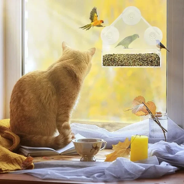 House Transparent Window Wild Bird Feeder Outdoor Removable Suction Cups Sliding Automatic Birds Feed Tray for Garden Patio Yard 4