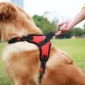 Saddle Dog Harness Reflective Adjustable Pet Harness No Pull Walking Training Small Medium Large Big Dogs Chest Strap Product 2