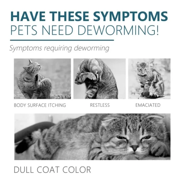 50ml Pet Anti Flea Tick Agent for Cats, Dogs, and Dogs. Extracorporeal Deworming Skin Cleaning Agent for Lice, Ticks, and Ticks 5