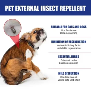 100ml Pet Dog Cat Anti Flea Drops Insectcide Flea Lice Insect Safe for Home and Cats Dogs Prevent Ticks 3