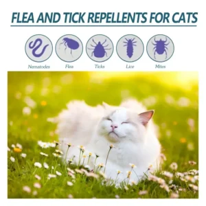 50ml Pet Anti Flea Tick Agent for Cats, Dogs, and Dogs. Extracorporeal Deworming Skin Cleaning Agent for Lice, Ticks, and Ticks 2