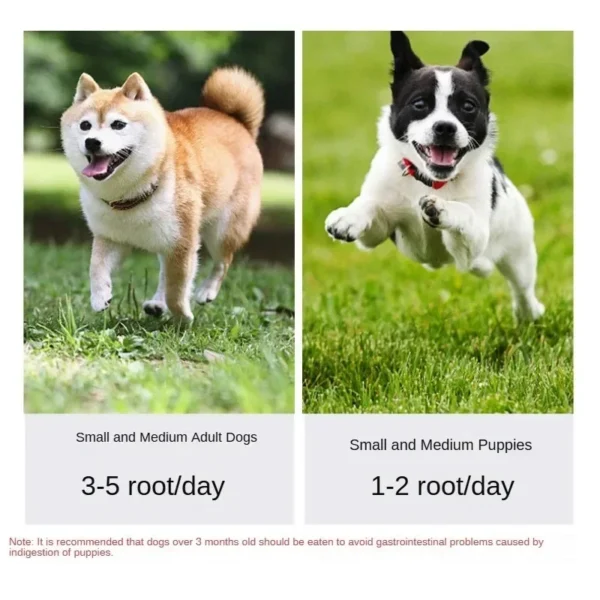 Dog Tooth Grinding Stick Pet Snack Puppy Snack Food Treats Chews Dog Oral Hygiene Toy Leather Cowhide Teeth Clean Stick for Dog 6