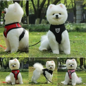 Breathable Mesh Cat Small Dog Harness And Leash Kitten Cats Harnesses Little Dog Puppy Harness For French Bulldog Chihuahua Pug 3