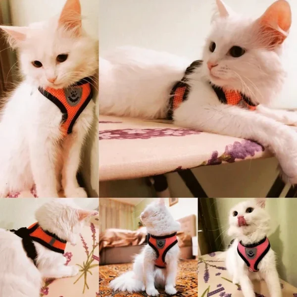 Cat Harness Vest Walking Lead Leash For Puppy Dogs Collar Polyester Adjustable Mesh Dog Harness For Small Medium Pet Accessories 2