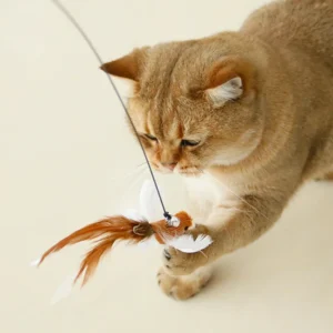 Handfree Bird/Feather Cat Wand with Bell Powerful Suction Cup Interactive Toys for Cats Kitten Hunting Exercise Pet Products 2