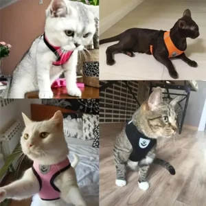 Breathable Mesh Cat Small Dog Harness And Leash Kitten Cats Harnesses Little Dog Puppy Harness For French Bulldog Chihuahua Pug 2