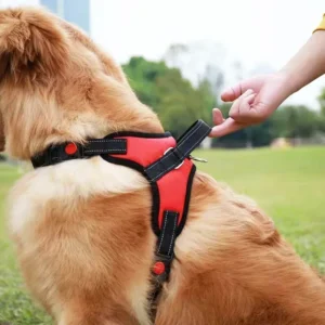 Dog Harness And Leash Set No Pull Adjustable Comfortable with Easy Control Handle Outdoor Running Walking Hand Free Lead Leash 2
