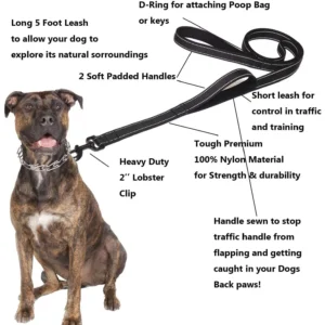 Dog Leashes Outdoor Travel Dog Training Chain Heavy Duty Double Handle Lead for Greater Control Safety Training Dual Handle 2